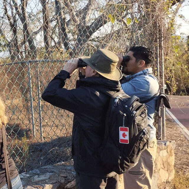 Ixtapa: Bird Watching Tour with Round-Trip Transportation - Who Is This Tour Best For?