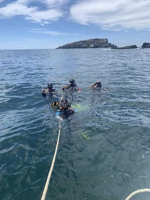 Ixtapa: Marine Life Exploration - The Overview: What This Tour Is All About