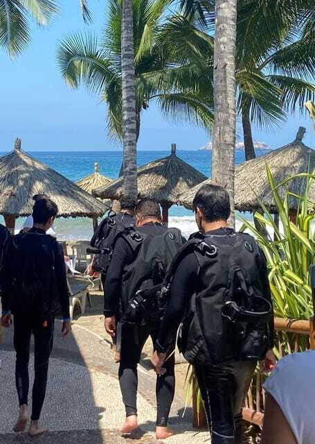 Ixtapa: Open Water Diver Course - What to Expect from the Ixtapa Open Water Diver Course