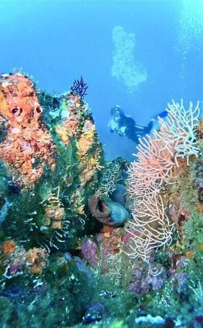 Ixtapa: Scuba Diver Course - A Closer Look at the Experience