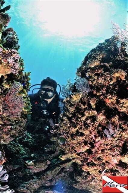 Ixtapa: Underwater Adventures in Zihuatanejo - Final Thoughts