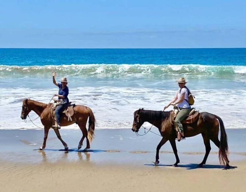 Ixtapa-Zihuatanejo: Horseback Riding Tour - The Experience in Detail