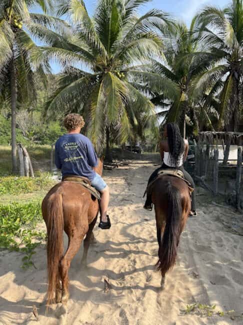Ixtapa-Zihuatanejo: Horseback Riding Tour - Authentic Reviews & Real Feedback