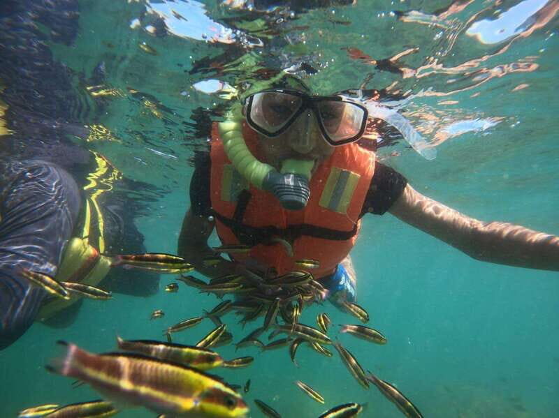 Ixtapa-Zihuatanejo: Island of Ixtapa Day Trip with Lunch - Who This Tour Is Best For