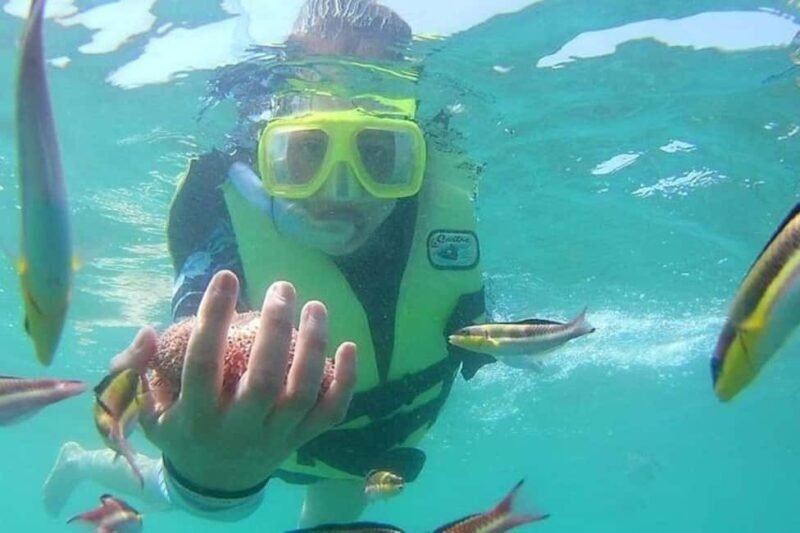 Ixtapa-Zihuatanejo: Las Gatas Beach - What to Expect from the Tour