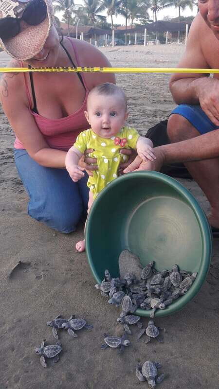 Ixtapa-Zihuatanejo: Turtle Release Tour. - An Honest Look at the Turtle Release Tour