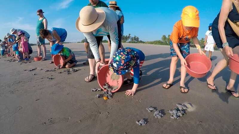 Ixtapa-Zihuatanejo: Turtle Release Tour. - FAQ