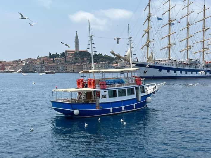 Izlet brodom iz Vrsara: Zalazak sunca i druenje s delfinima - An honest look at what this dolphin sunset cruise involves