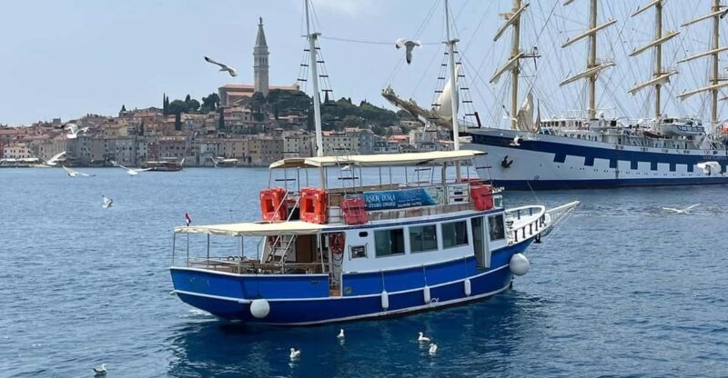 Izlet brodom iz Vrsara: Zalazak sunca i druenje s delfinima - The experience in detail