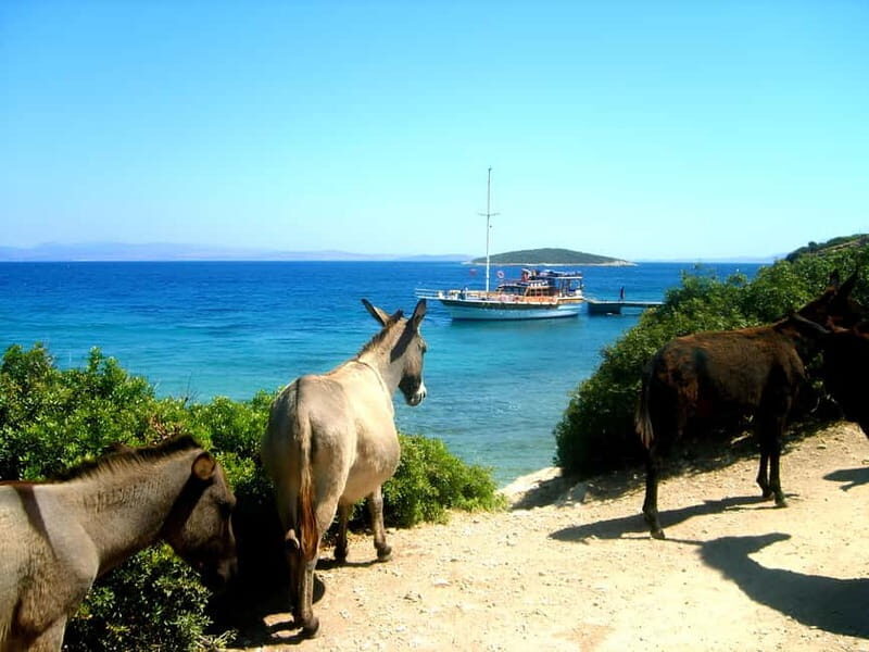 Izmir: Cesme Boat Tour and Alacati Visit - Key Points