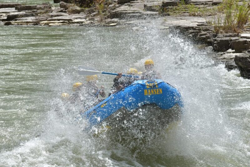 Jackson: 4-Hour Small Boat Snake River Whitewater Rafting - Final Thoughts: Who Should Book This?