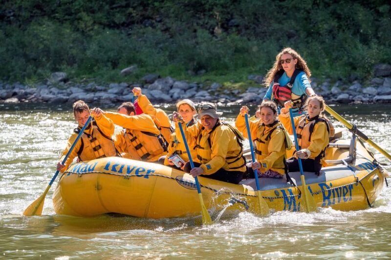 Jackson: 8-Mile Small-Boat Whitewater Rafting Trip - Who Is This Tour Best For?
