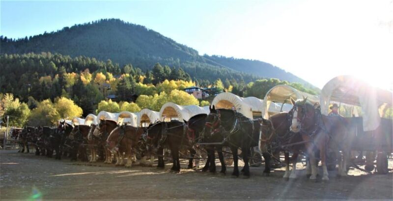 Jackson: Chuck Wagon Cookout and Live Show - Key Points