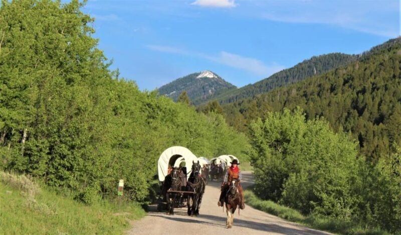 Jackson: Chuck Wagon Cookout and Live Show - Who Should Consider This Tour?