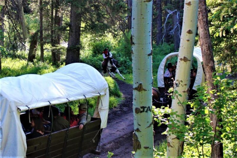 Jackson: Chuck Wagon Cookout and Live Show - Final Thoughts