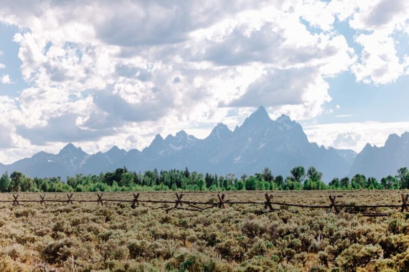 Jackson: Grand Teton Sunrise Safari with Naturalist Guide - Why You Might Want to Take This Tour