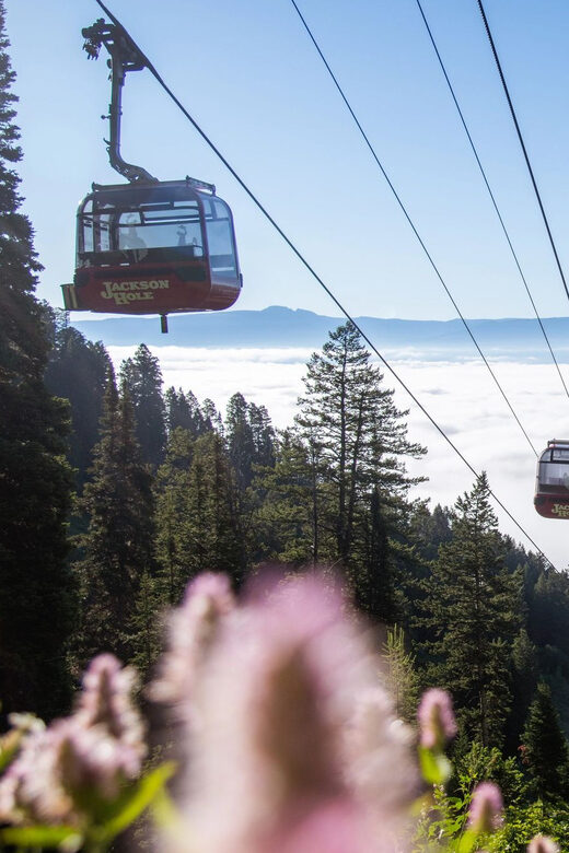 Jackson Hole: Aerial Tram and Gondolas Sightseeing - Key Points