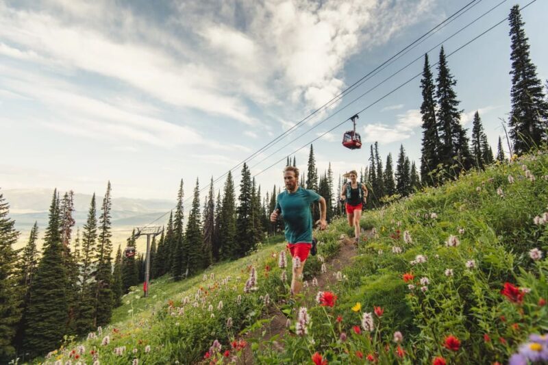 Jackson Hole: Aerial Tram and Gondolas Sightseeing - Final Thoughts
