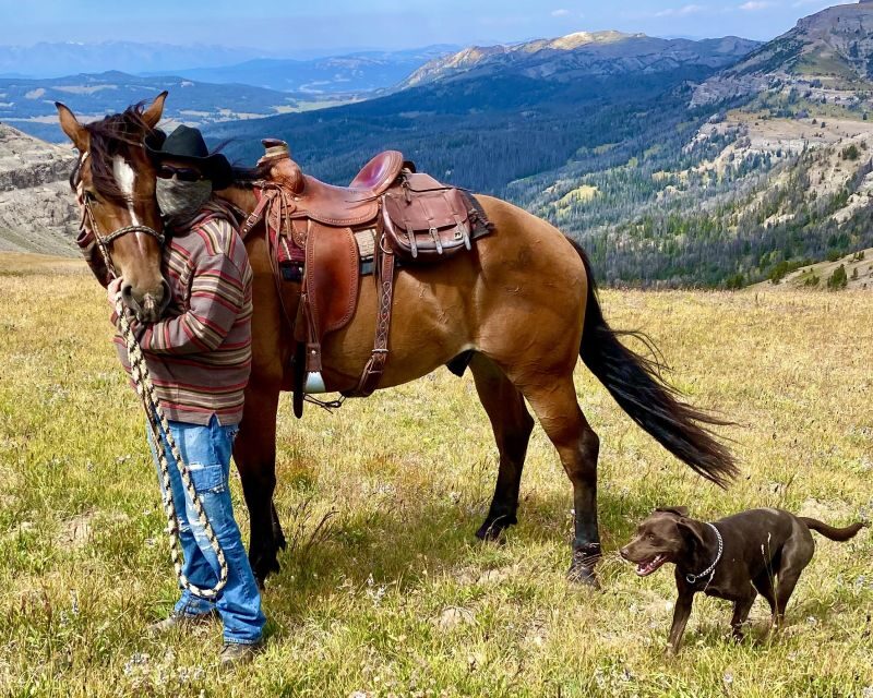 Jackson Hole: Bridger-Teton National Forest Horseback Ride - What Is the Jackson Hole Horseback Ride All About?
