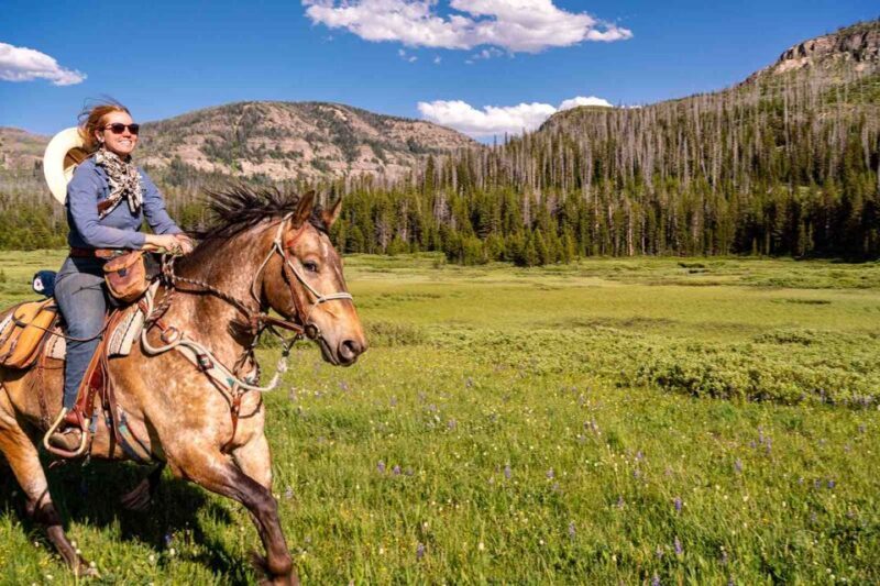 Jackson Hole: Dinner Cookout & Bridger-Teton Horseback Ride - The Experience in Detail