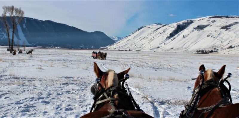 Jackson Hole: National Elk Refuge Sleigh Ride - Key Points