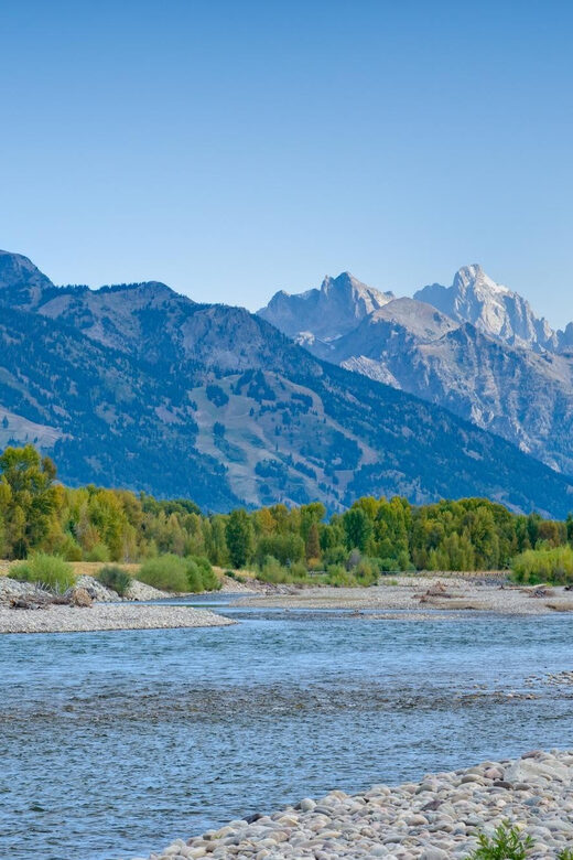 Jackson Hole: Snake River Scenic Float Tour with Chairs - The Scenic Highlights and Wildlife