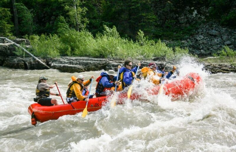 Jackson Hole: Snake River Whitewater Rafting Tour - What to Expect from the Jackson Hole Snake River Whitewater Rafting Tour
