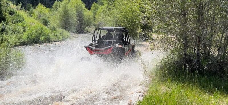 Jackson Hole: Togwotee Mountain Lodge UTV Rental - FAQ