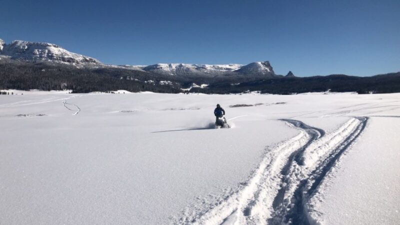 Jackson Hole: Turpin Meadow Snowmobile Tour - Is It Worth the Price?