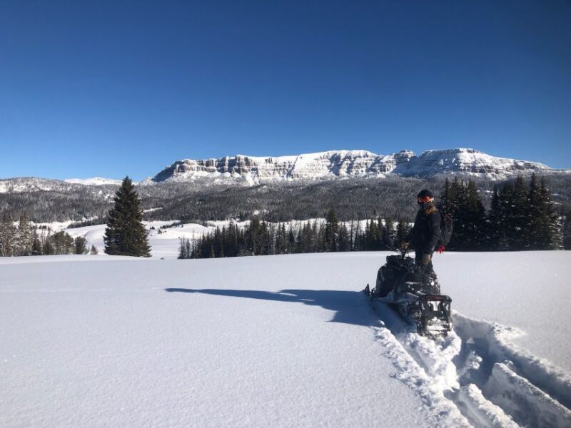 Jackson Hole: Turpin Meadow Snowmobile Tour - What About the Group Size and Booking?