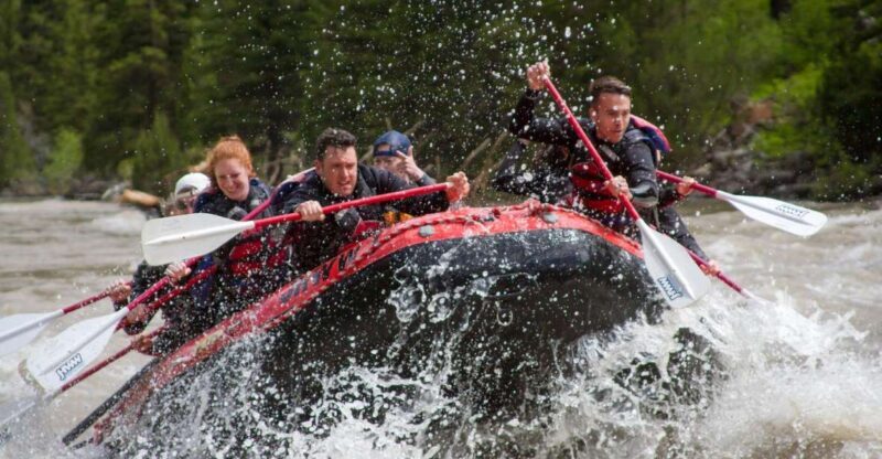 Jackson: Snake River Class 2-3 Whitewater Rafting Adventure - Key Points