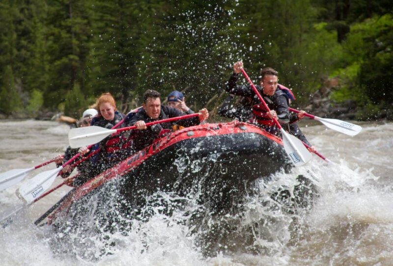Jackson: Snake River Class 2-3 Whitewater Rafting Adventure - What to Expect from the Snake River Rafting Trip