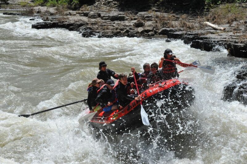Jackson: Snake River Class 2-3 Whitewater Rafting Adventure - Who Will Love This Tour