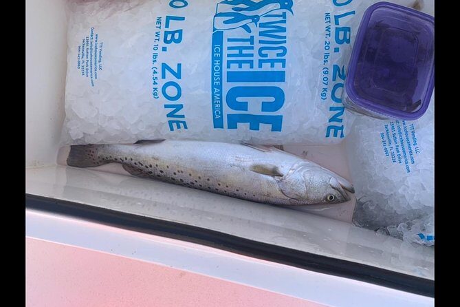 Jacksonville Fishing Charter-23' - Diving into the Experience: What This Fishing Tour Is Really Like