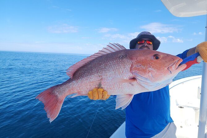 Jacksonville Private Boat Tour Daytime or Sunset, up to 6 people - Who Is This Tour Best For?