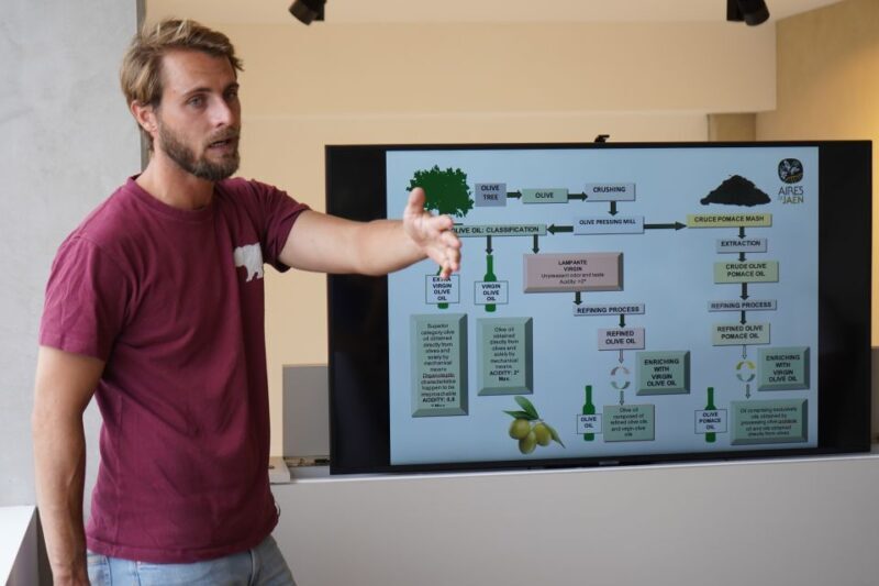 Jaén: Aires de Jaén Olive Oil Tasting Class - The Sum Up
