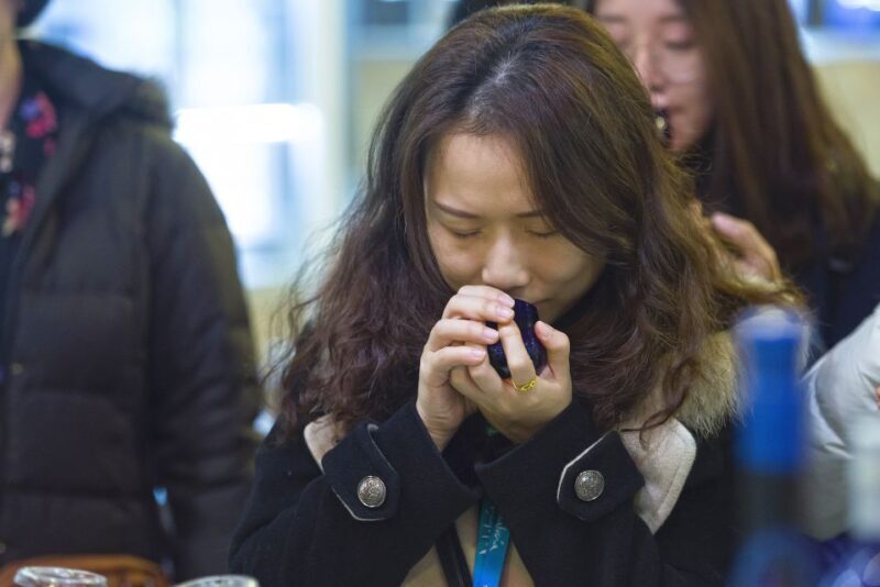 Jaén Discover the Secrets of Olive Oil: Tour & Tasting - An Introduction to the Experience