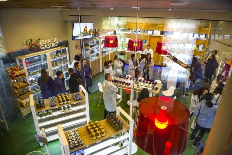 Jaén Discover the Secrets of Olive Oil: Tour & Tasting - The Bottom Line