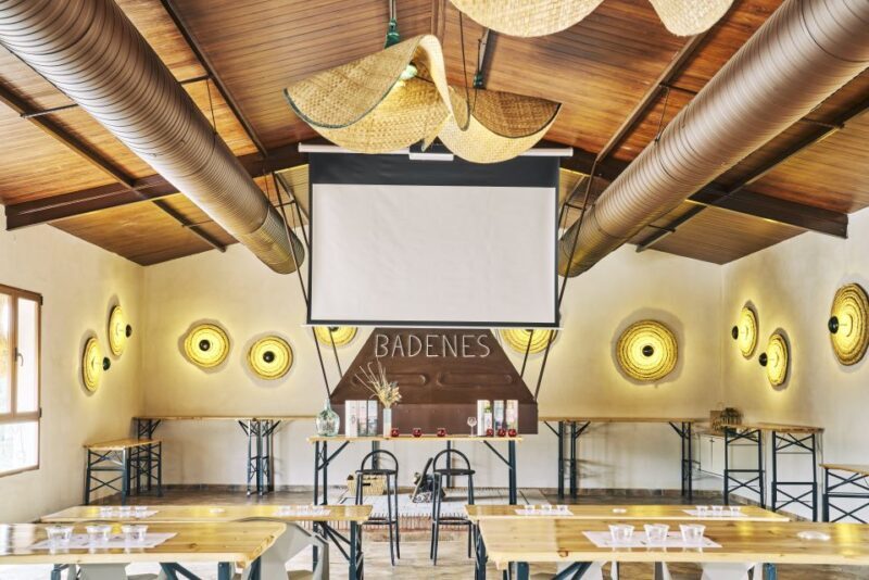 Jaen: Olive oil tour with the 5 senses, grove and tasing - A Closer Look at the Tour Experience