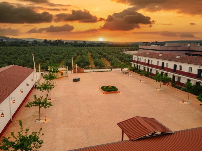 Jaen: Olive oil tour with the 5 senses, grove and tasing - FAQs