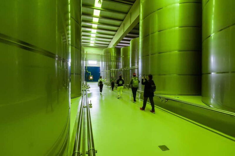 Jaén: Unforgettable visit to the olive mill + EVOO tasting - The Experience in Detail