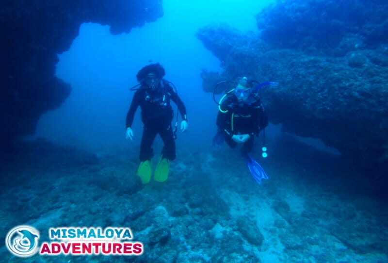 Jalisco: Scuba Diving at Los Arcos for Certified Divers - Group Size and Atmosphere