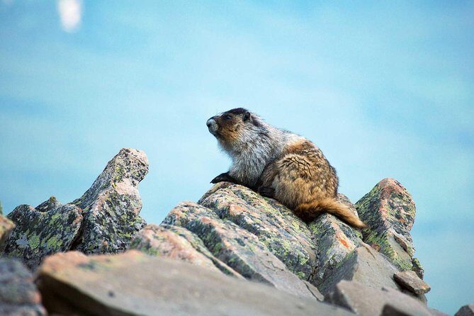 Jasper SkyTram - FAQs