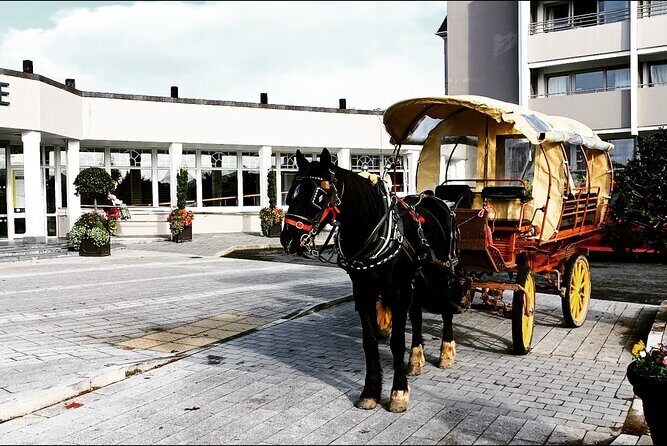 Jaunting Car Tour in Killarney National Park - A Closer Look at the Jaunting Car Experience