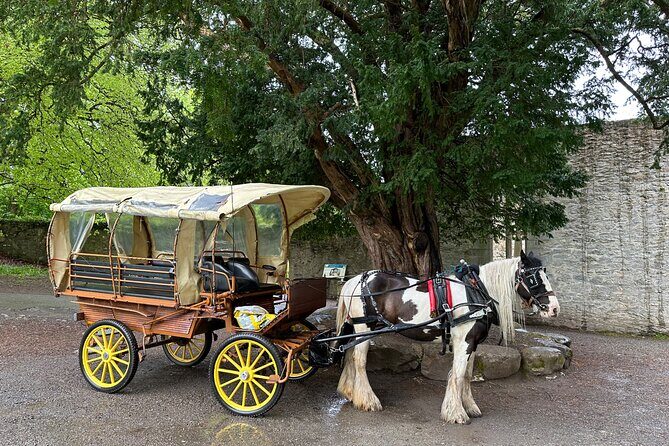 Jaunting Car Tour in Killarney National Park - Frequently Asked Questions