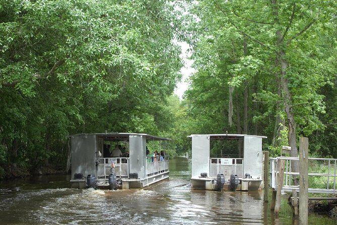 Jean Lafitte 90-Minute Swamp and Bayou Boat Tour - Who Is This Tour Best For?