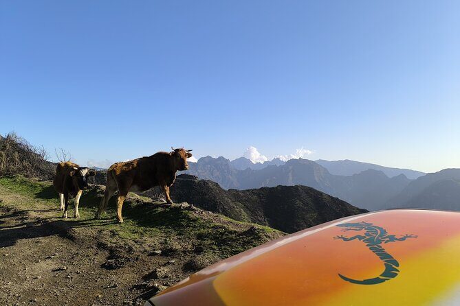 Jeep Adventure to Volcanic Pools & UNESCO Forest Treasures - FAQ