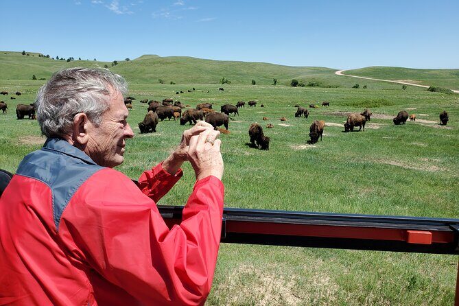 JEEP Bison Safari at Custer State Park - Family Friendly Prices - FAQs