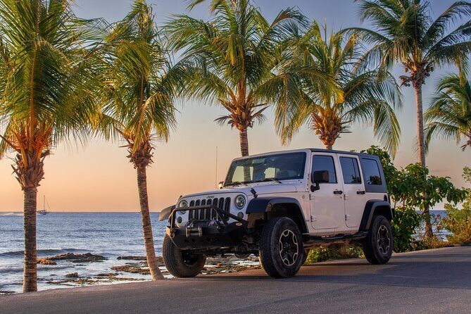 Jeep, Buggy, and Minivan Rentals in Cozumel - Key Points