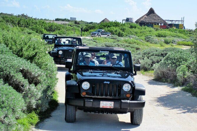 Jeep Ride at Cozumel! Snorkel + Round Transportation from Playa Del Carmen - FAQ